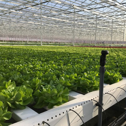 Greenhouse System USA Inc